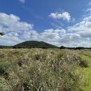 여문목장 이미지