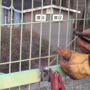 수자원공사입구 이미지