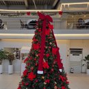 프렌치 페이지 | 크리스마스 느낌 낭낭한~! 충장로 '프렌치페이지' 간단 후기~!