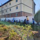 안계초등학교 이미지