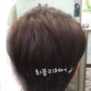 최블리헤어 네이버블로그