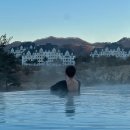 홍천군 야생동물 임시보호시설 | [공지] 최고의 겨울여행지 비발디파크 특가 오픈☃️🩵