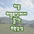 염소뜰에일산 | [여행지] 하동 숨은 명소 해뜰목장 l 동물 체험과 자연 풍경을 함께!