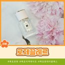로제끌레르 이미지