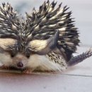 헤커PC방 이미지