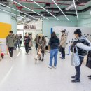 놀러오시개 이미지