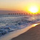 산속농장 이미지