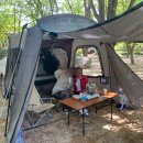 수목원캠핑장 | 🌲남경수목원 캠핑장 후기 - 자연 속 차박, 가족과 함께한 소중한 시간