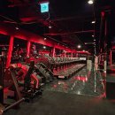 라이언 휘트니스 이미지