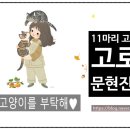 농업회사법인 꼼냥 주식회사 이미지