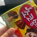 바다쭈꾸미 장안점 | 🚗 여행 기록 #16 [태안 - 비비아트글램핑 카라반] + 낚시하다 바다에 핸드폰 빠뜨린 썰