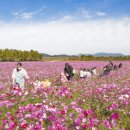 게이트볼장 공중화장실 이미지