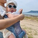 띵똥마켓 | [육아템 정보] 아기띠 꼭 구매 할까? 직접 경험한 아기띠 사용 시기와 현명한 구매 팁 완벽 정리!