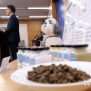 진위사료 이미지