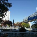 남문구사거리 티스토리