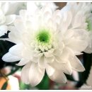 아름다운삶 이미지