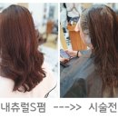 블랙스완헤어살롱 네이버블로그