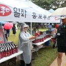 일화 스포츠경향