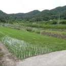 구산면517 이미지