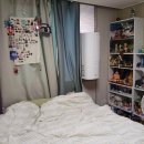 다이어트벨리댄스(취미과정 / 주간) | 미술교육대학원 회고록 [1] - 1학기 2025년 1월~8월: 마무리와 새로운 시작 (기숙사생활)