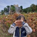 별새꽃유치원 이미지