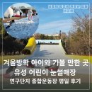 세븐일레븐 대덕연구단지점 | 겨울방학 아이와 가볼 만한 곳 유성 어린이 눈썰매장 연구단지 종합운동장