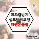 포승중학교 | 평택애견카페 내돈주고산 강아지쓸개골탈구방지를 위한 더쎈논슬립바닥코팅셀프시공