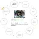 영도 콘텍트 렌즈 이미지