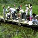 자연의 꿈 이미지