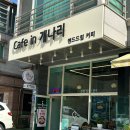 카페인개나리