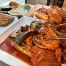 황금코다리 이미지