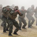 육군특수전사령관기 특공무술 경연대회 현장..나와 전우 보호하고 일격에 적 제압한다 이미지