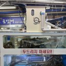 동래시장 | 부산 동래 횟집 착한산곰장어&amp;시장횟집 하모회 후기