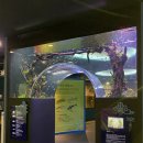 다누리 | 단양 가볼만한곳 다누리아쿠아리움 후기