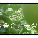 청송사과한과 이미지