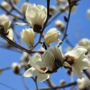 은평-016 이미지