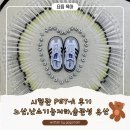 노산 | 시험관 PGT-A 후기｜노산, 난소기능저하·습관성 유산 끝에 첫 심장소리