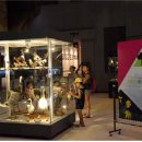 강원도디엠제트박물관 이미지