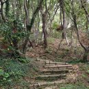 신안수지 이미지