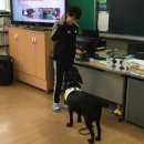 행안초등학교 이미지