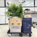 앵콜특강_크리스마스트리 만들기 이미지