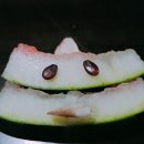 무궁화노래연습장 이미지