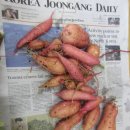 도담도담어린이집 이미지