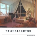 휴펜션 | 경주 감성 가성비 가족독채 자쿠지숙소 추천! 아이와 함께한 늘경주휴 펜션 후기