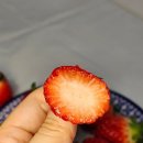 덕성축산 | 장미원골목시장 과일, 채소가게 추천, 신선함이 가득한 과일가게 <으뜸축산>, 설향딸기 구매 후기