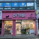 아가삐 이미지