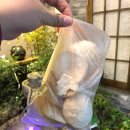 (주)보뇌르 이미지
