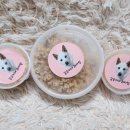 갑순이네 과자점 이미지