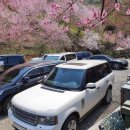 만양농장 이미지