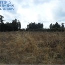 상예동-11 이미지